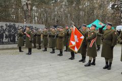 MARCHEWKA_M_049.JPG