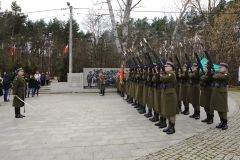MARCHEWKA_M_065.JPG